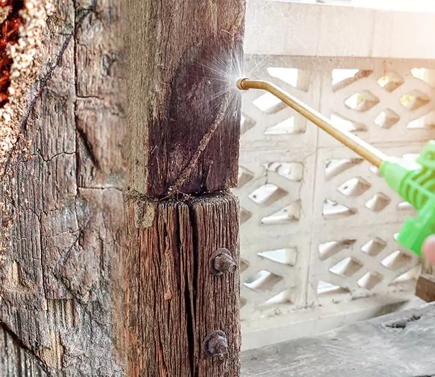 About Wood Termite Treatment Services in Lyndhurst, NJ