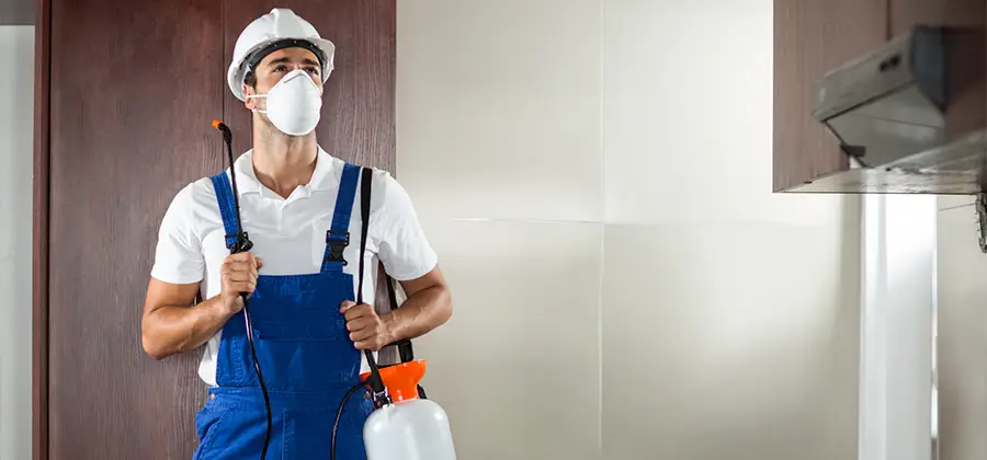 Per Room Bed Bug Cost in Lyndhurst