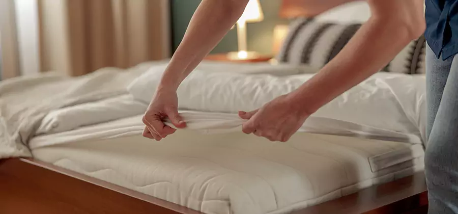 Bed Bug Extermination Services in Lyndhurst