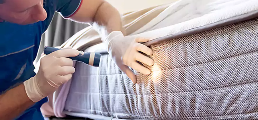 Residential Bed Bug Treatment Cost in Lyndhurst