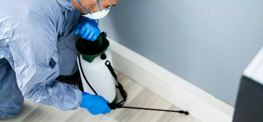 Fumigate Apartment Roaches in Lyndhurst