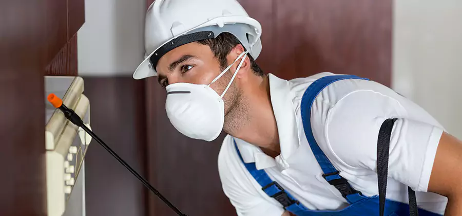 Injection Foam Treatment for Drywood Termites in Lyndhurst