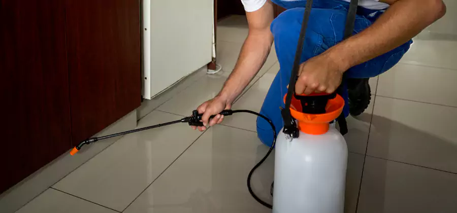 Indoor Mosquito Treatment in Lyndhurst