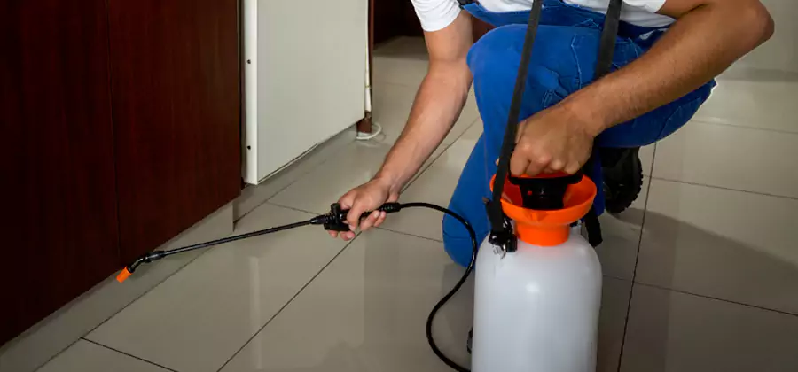 Indoor Insect Killer Solutions in Lyndhurst