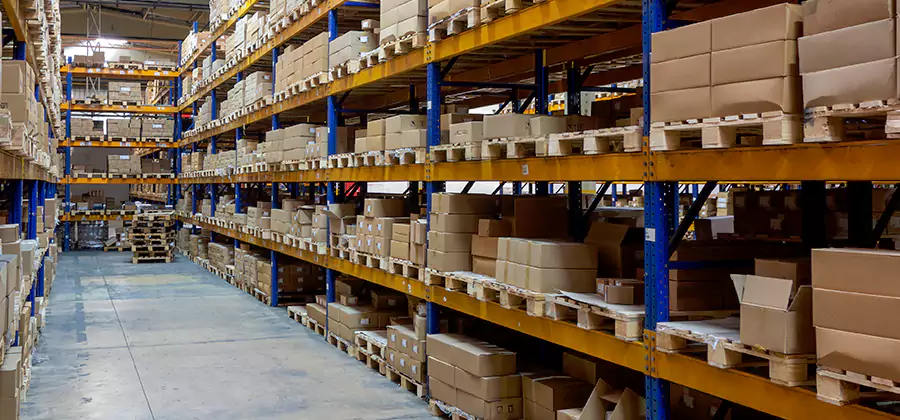 Warehouse Pest Control in Lyndhurst