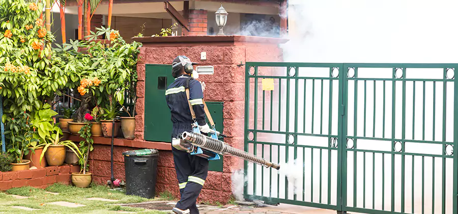 Backyard Mosquito Foggers Service in Lyndhurst