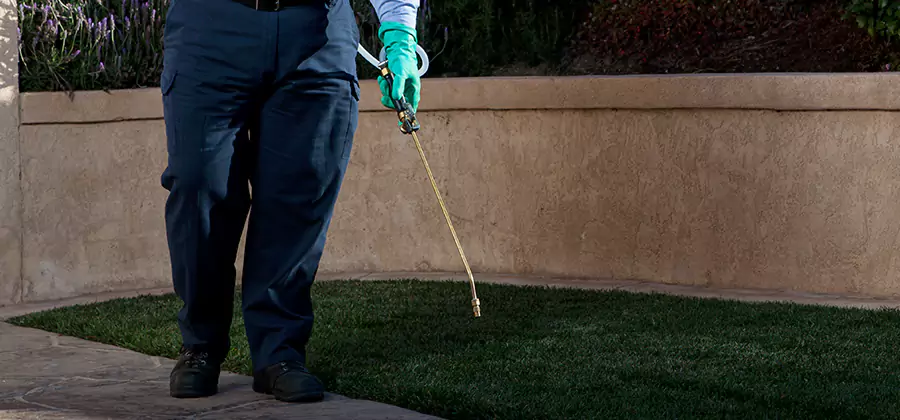 Soil Treatment for New Construction Termites in Lyndhurst