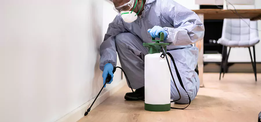 No Tent Termite Extermination With Electric Tool in Lyndhurst