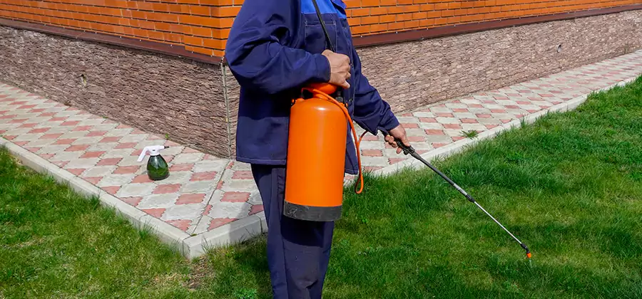 Non Toxic Termite Treatment in Lyndhurst