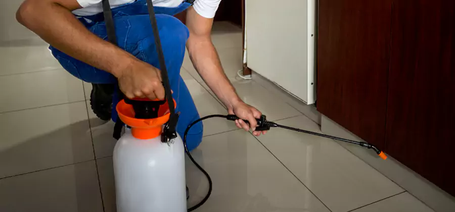 One Time Termite Control in Lyndhurst
