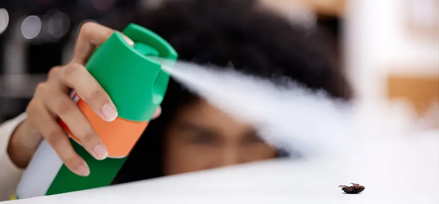 Child Safe Bed Bug Treatment in Lyndhurst