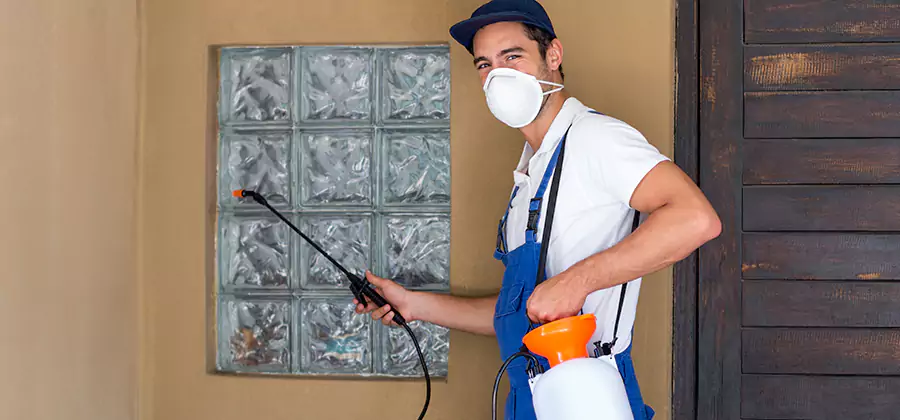 Physical Termite Barrier Installation in Lyndhurst