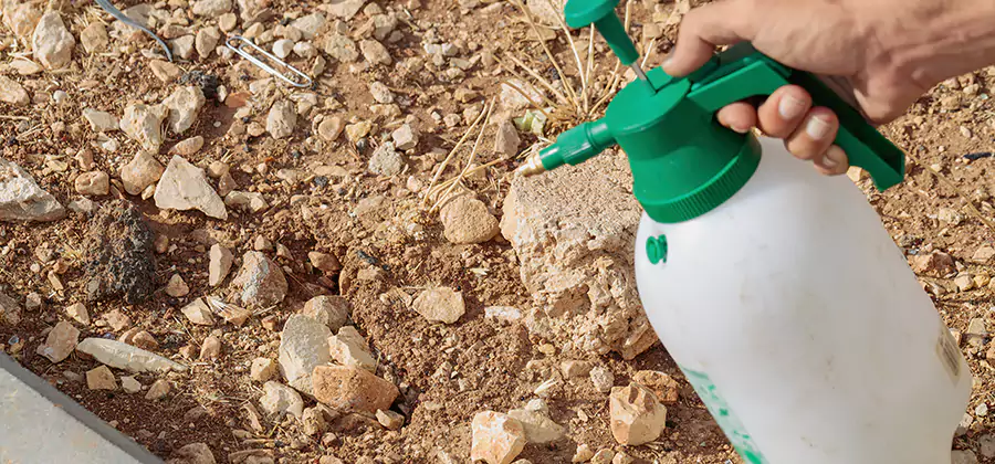 Heat Treatment Termite Cost in Lyndhurst