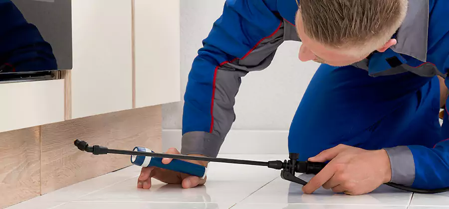 Moisture Treatment For Termite Control Service in Lyndhurst