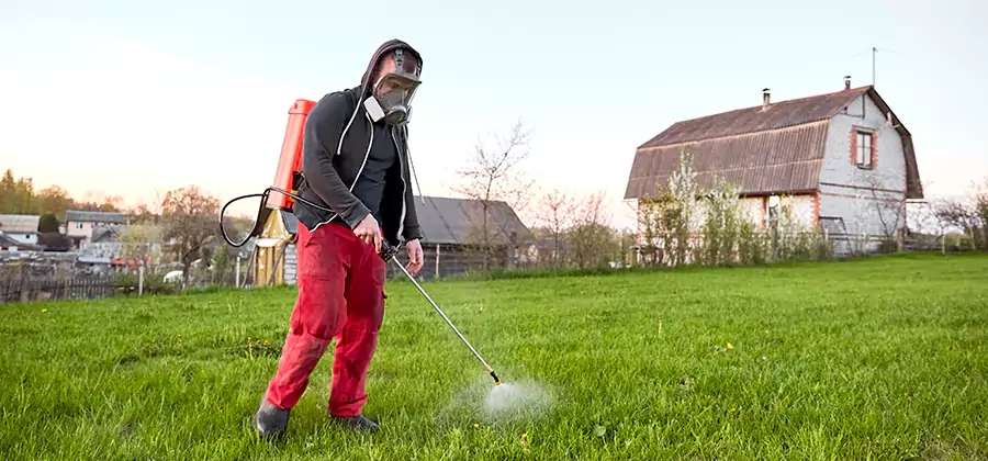 Flea and Tick Pest Control in Lyndhurst