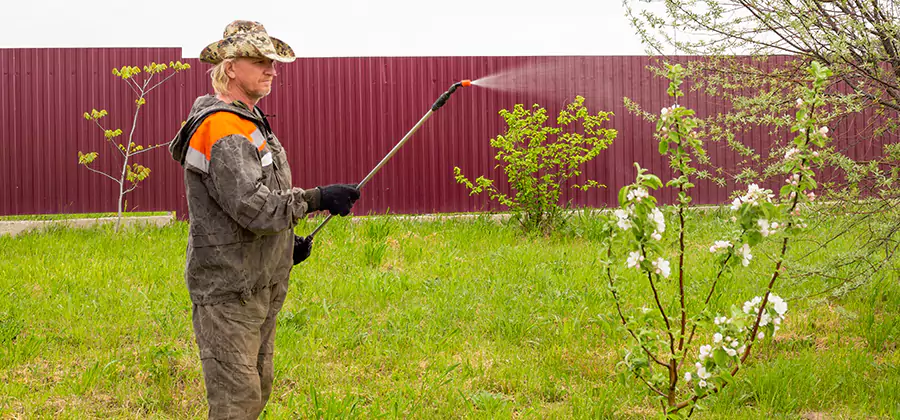 Flea and Tick Spray for Yard in Lyndhurst