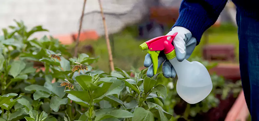 Yellow Jacket Pest Removal for Commercial Properties in Lyndhurst