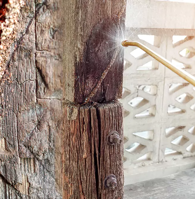 Why Choose Lyndhurst Pest Control Pro for Attic Termite Treatment in Lyndhurst, NJ?