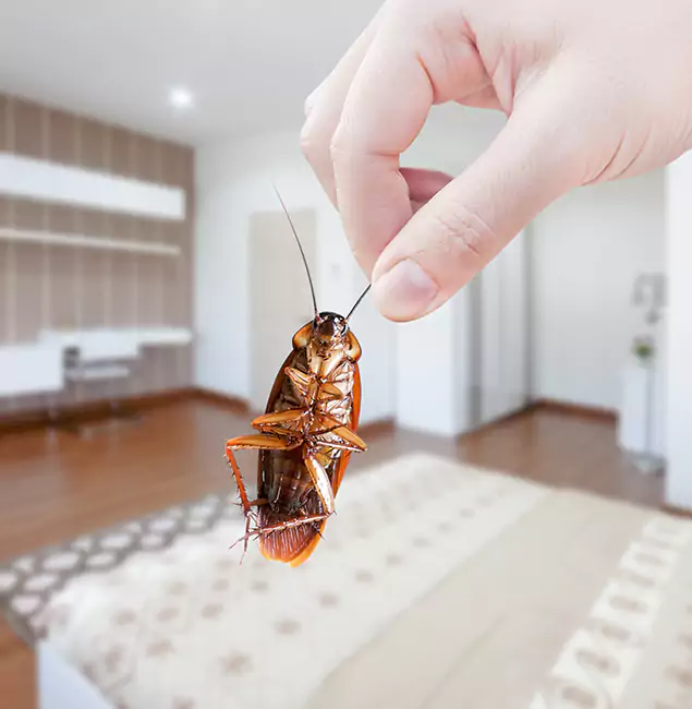 Why Lyndhurst Pest Control Pro Stand Out for Bed Bug Fumigation in Lyndhurst, NJ?