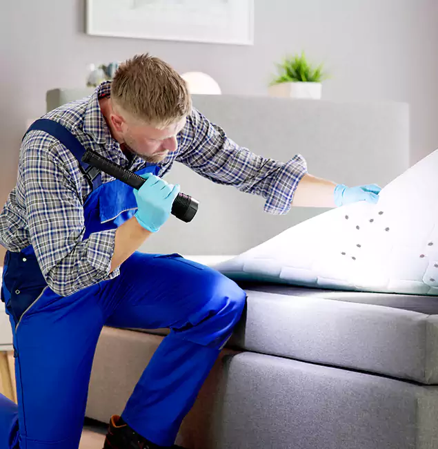 Why Choose Lyndhurst Pest Control Pro For Bed Bug Heat Treatment in Lyndhurst, NJ?