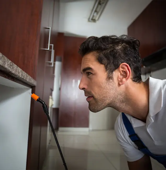 Why Choose Lyndhurst Pest Control Pro for Bed Bug Removal Cost in Lyndhurst, NJ?