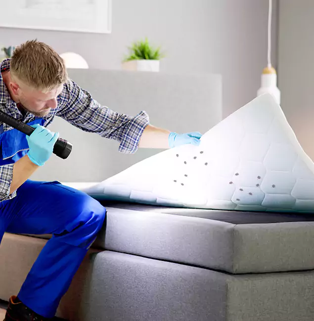 Why Choose Lyndhurst Pest Control Pro in Lyndhurst, NJ?