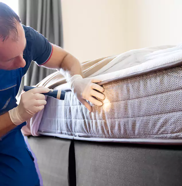 Why Choose Lyndhurst Pest Control Pro for Bed Bug Services in Lyndhurst, NJ?