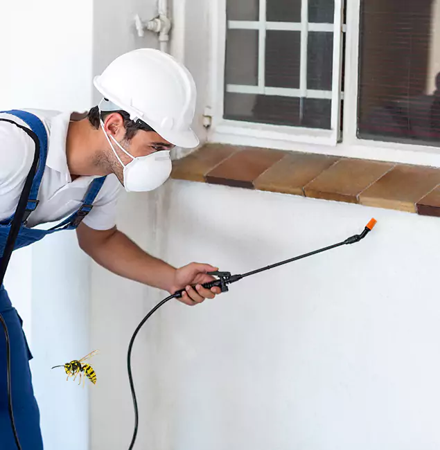 Why Lyndhurst Property Owners Choose Lyndhurst Pest Control Pro for Bee Nest Removal?