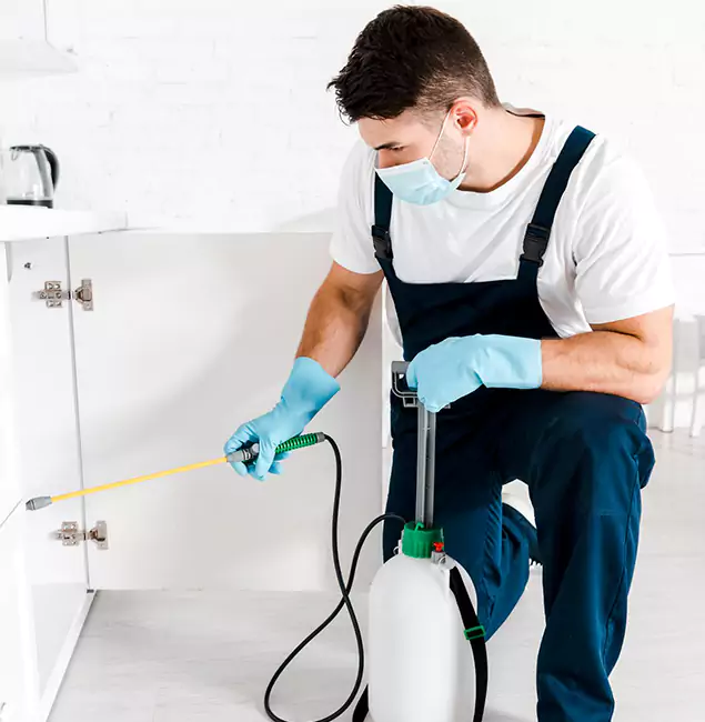 Why Choose Lyndhurst Pest Control Pro for Emergency Pest Control in Lyndhurst?