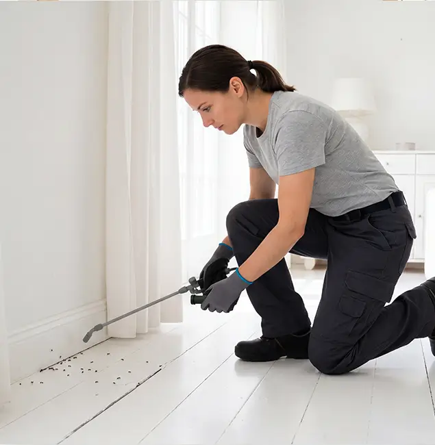 Why Lyndhurst, NJ Property Owners Trust Lyndhurst Pest Control Pro for Fire Ant Control?