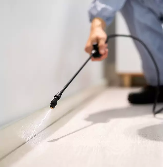 Why Choose Lyndhurst Pest Control Pro for Termite Treatment in Lyndhurst, NJ?