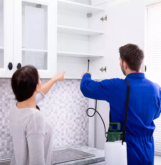Why Lyndhurst Property Owners Choose Lyndhurst Pest Control Pro for Ground Bee Removal?