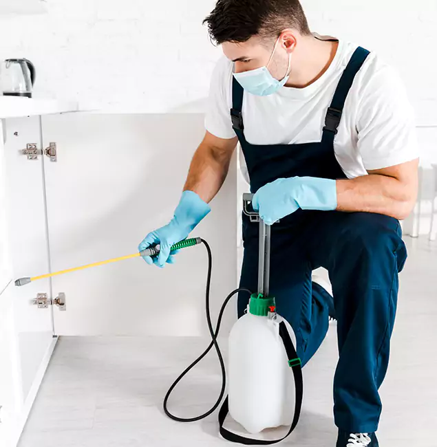 Why Choose Lyndhurst Pest Control Pro for Indoor Pest Control in Lyndhurst, NJ?