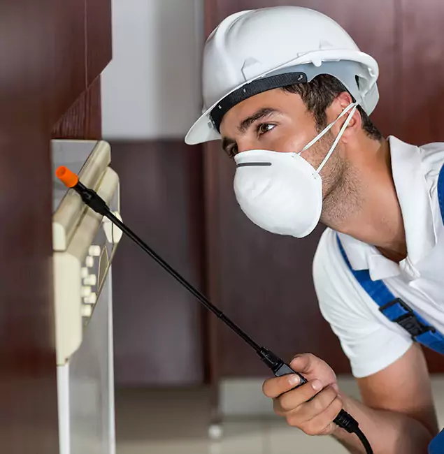 Why Lyndhurst Homeowners Rely on Lyndhurst Pest Control Pro for Tick Treatment?