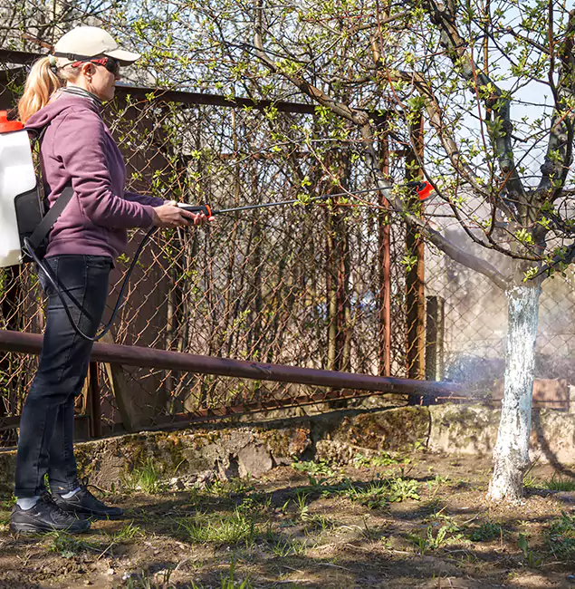 Why Lyndhurst Homeowners Choose Lyndhurst Pest Control Pro for Mosquito Abatement?