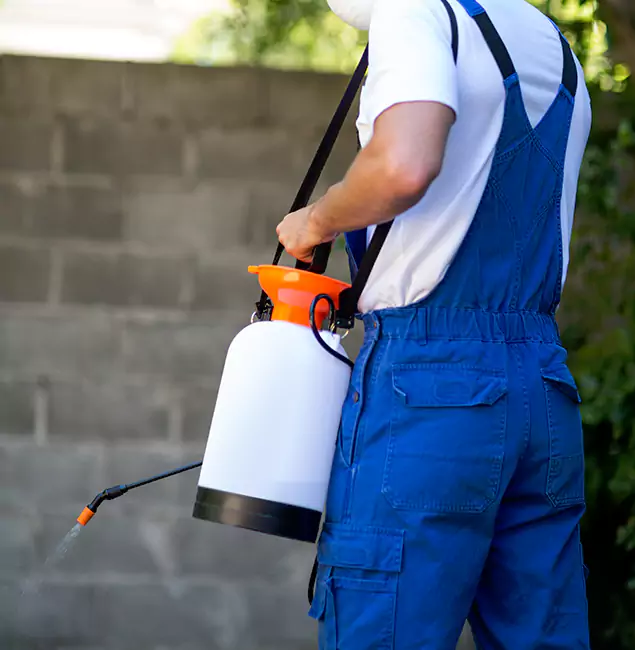 Why Lyndhurst Homeowners Rely on Lyndhurst Pest Control Pro for Mosquito Control?