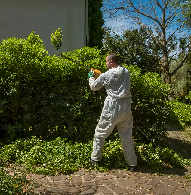 Why Lyndhurst Pest Control Pro Leads Mosquito Control in Lyndhurst, NJ?