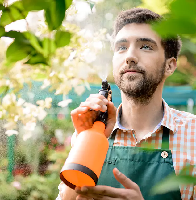 Why Lyndhurst Pest Control Pro Is the Best Mosquito Control Company in Lyndhurst, NJ?