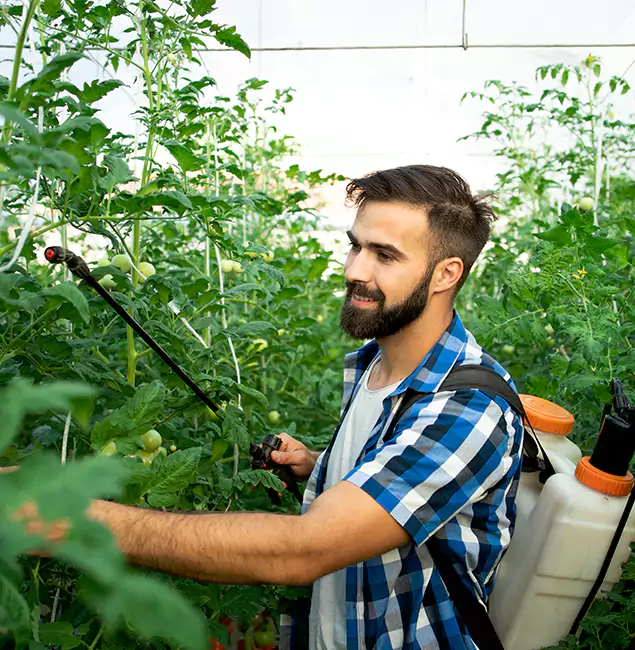 Why Lyndhurst Homeowners Choose Lyndhurst Pest Control Pro for Mosquito Spraying?