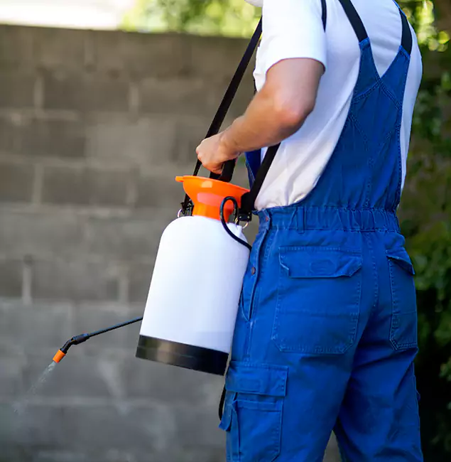 Why Lyndhurst Pest Control Pro Delivers the Best Mosquito Control in Lyndhurst, NJ?