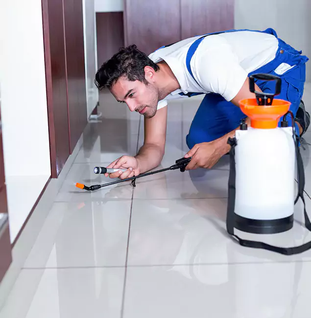 Why Lyndhurst Pest Control Pro Is the Proven Choice in Lyndhurst, NJ?