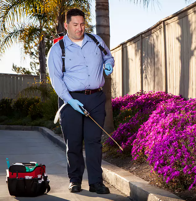 Why Choose Lyndhurst Pest Control Pro in Lyndhurst, NJ?