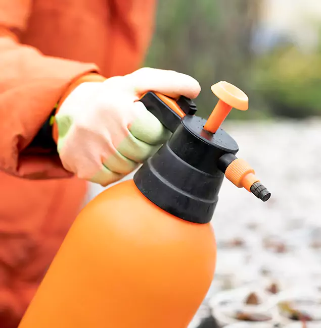 Why Choose Lyndhurst Pest Control Pro for Orange Termite Treatment in Lyndhurst, NJ?