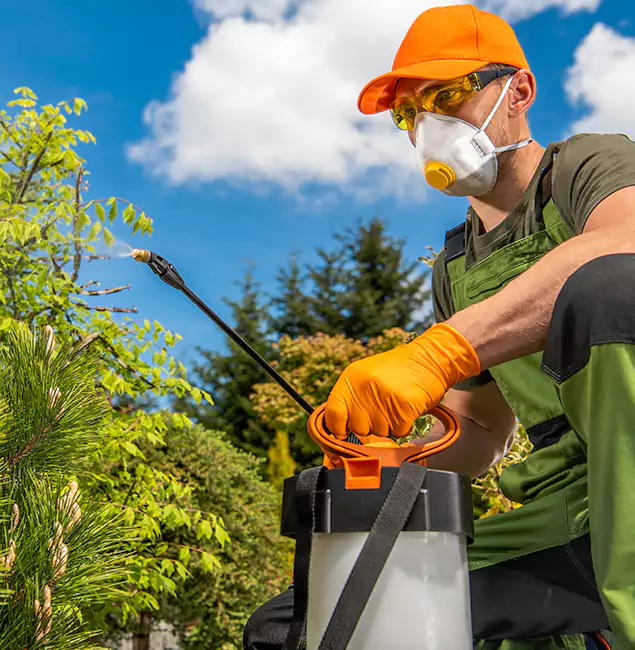 Why Choose Lyndhurst Pest Control Pro for Outdoor Pest Control in Lyndhurst, NJ?