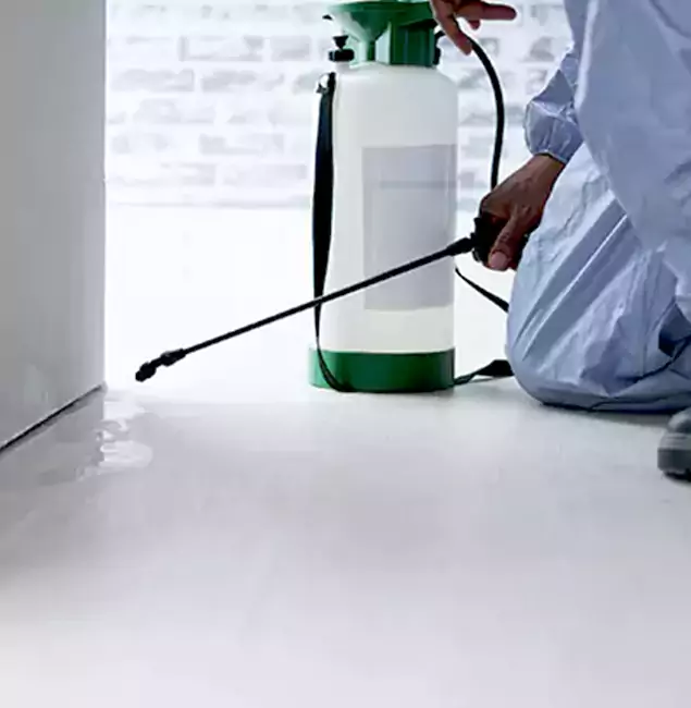 Why Choose Lyndhurst Pest Control Pro for Rat Exterminator in Lyndhurst, NJ?