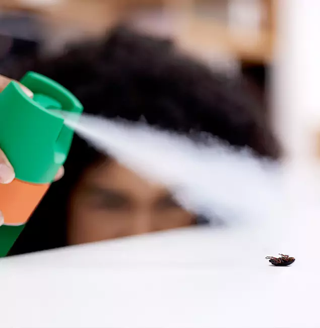 Why Lyndhurst, NJ Homeowners Choose Lyndhurst Pest Control Pro for Roach Pest Control?
