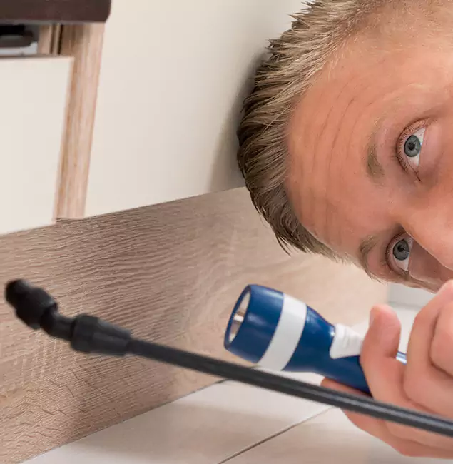 Why Choose Lyndhurst Pest Control Pro for Rodent Exterminator in Lyndhurst, NJ?