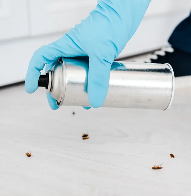 Why Choose Lyndhurst Pest Control Pro for Safe Bed Bug Treatment in Lyndhurst, NJ?