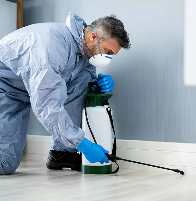 Why Choose Lyndhurst Pest Control Pro for Subterranean Termites Treatment in Lyndhurst, NJ?