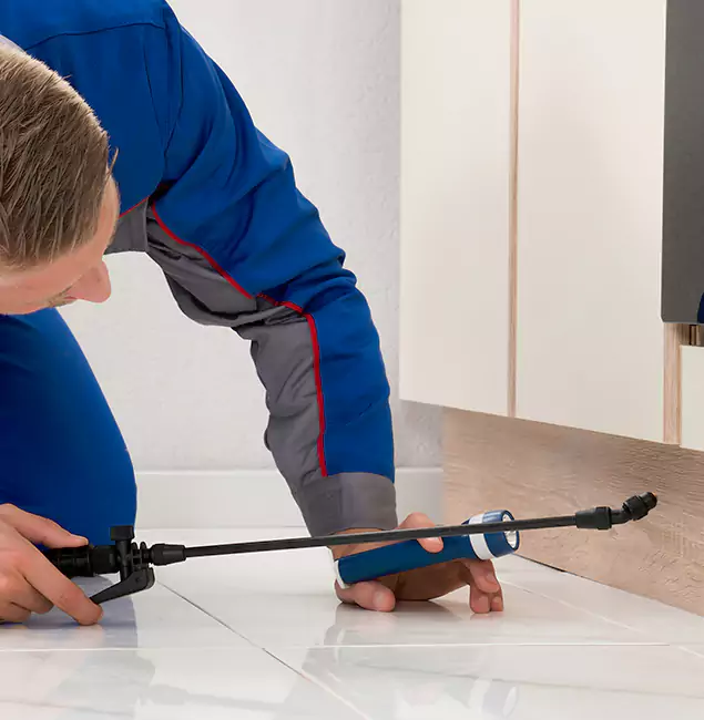Why Lyndhurst Residents Choose Lyndhurst Pest Control Pro to Get Rid of Sugar Ants?